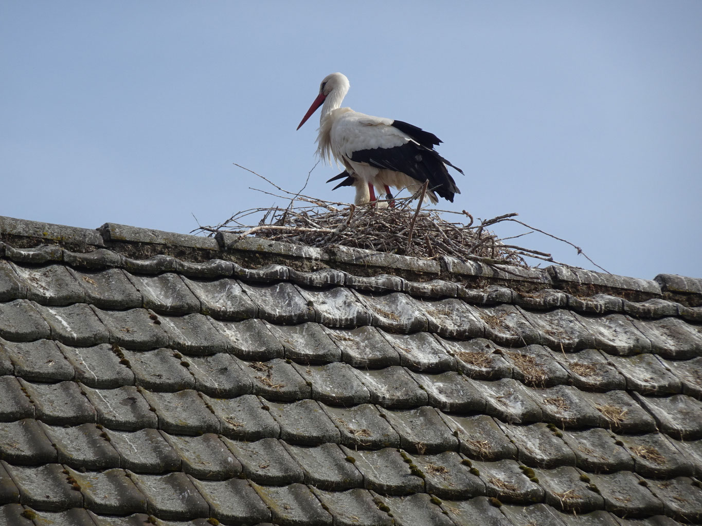 Region Aischgrund LAG Aischgrund