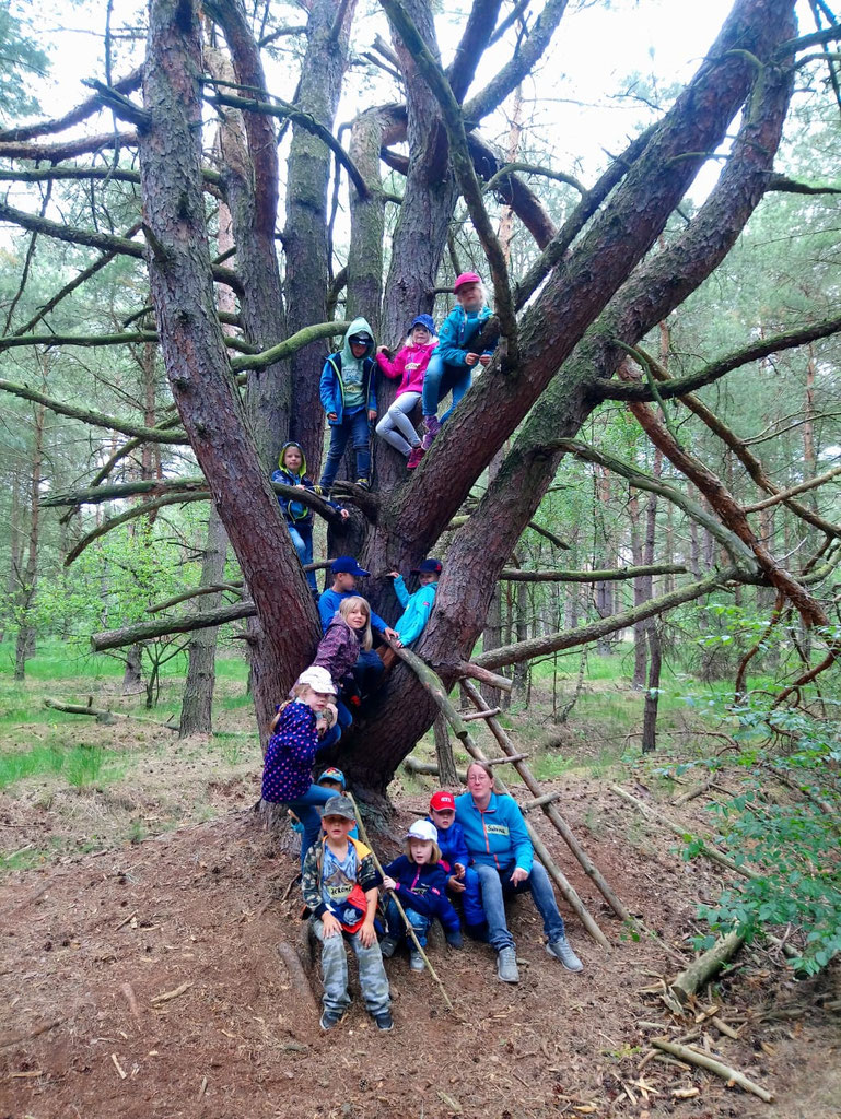 FERIENPASSAKTION IM TROLLWALD - Waldkindergarten Nienhagen