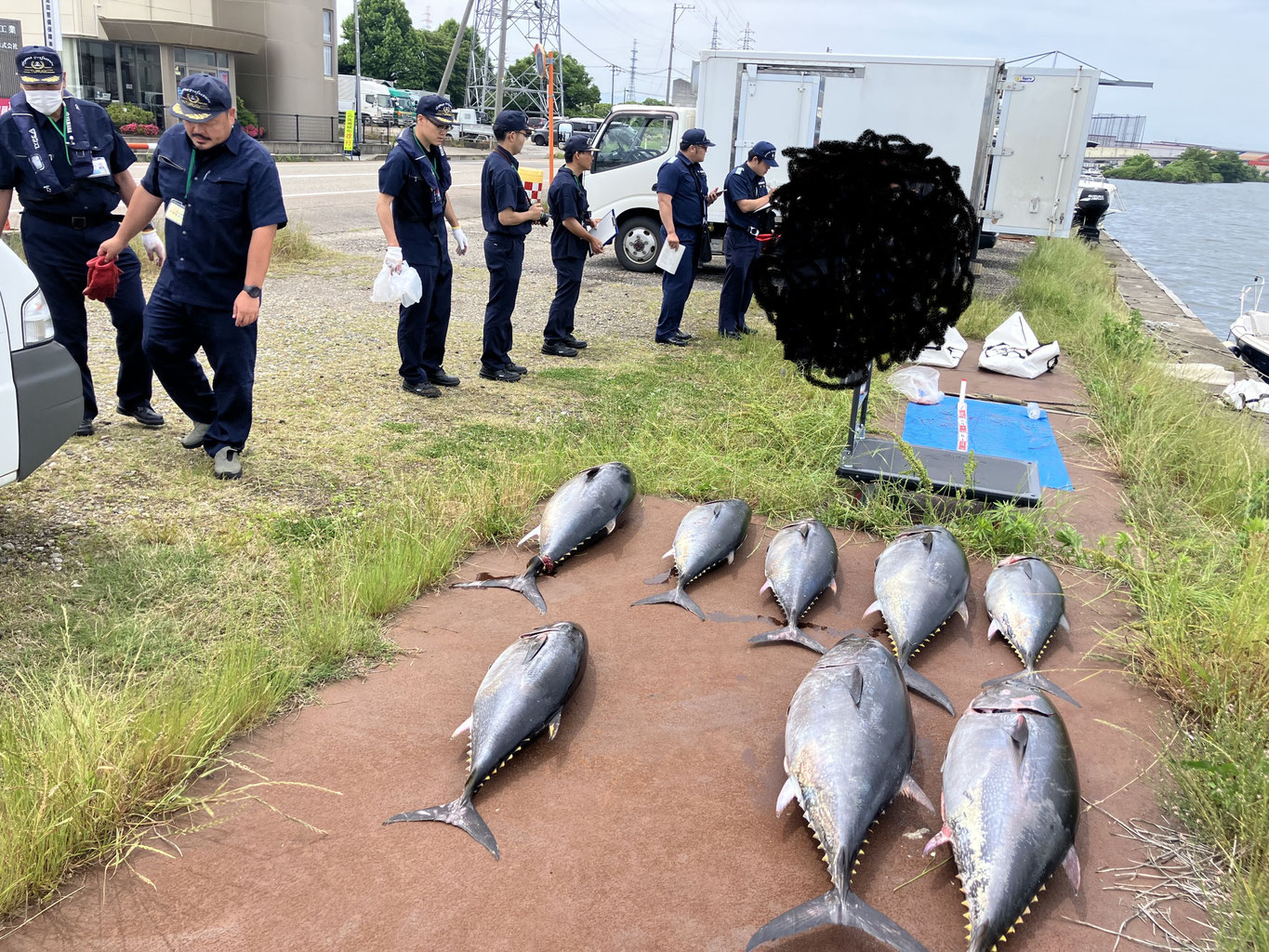 【直接引取り】マリンバ　こおろぎ社　650R 中古 Miya Epoch コマンドX パワーバトラー 190H 穂先のみ 竿袋付 - 中古