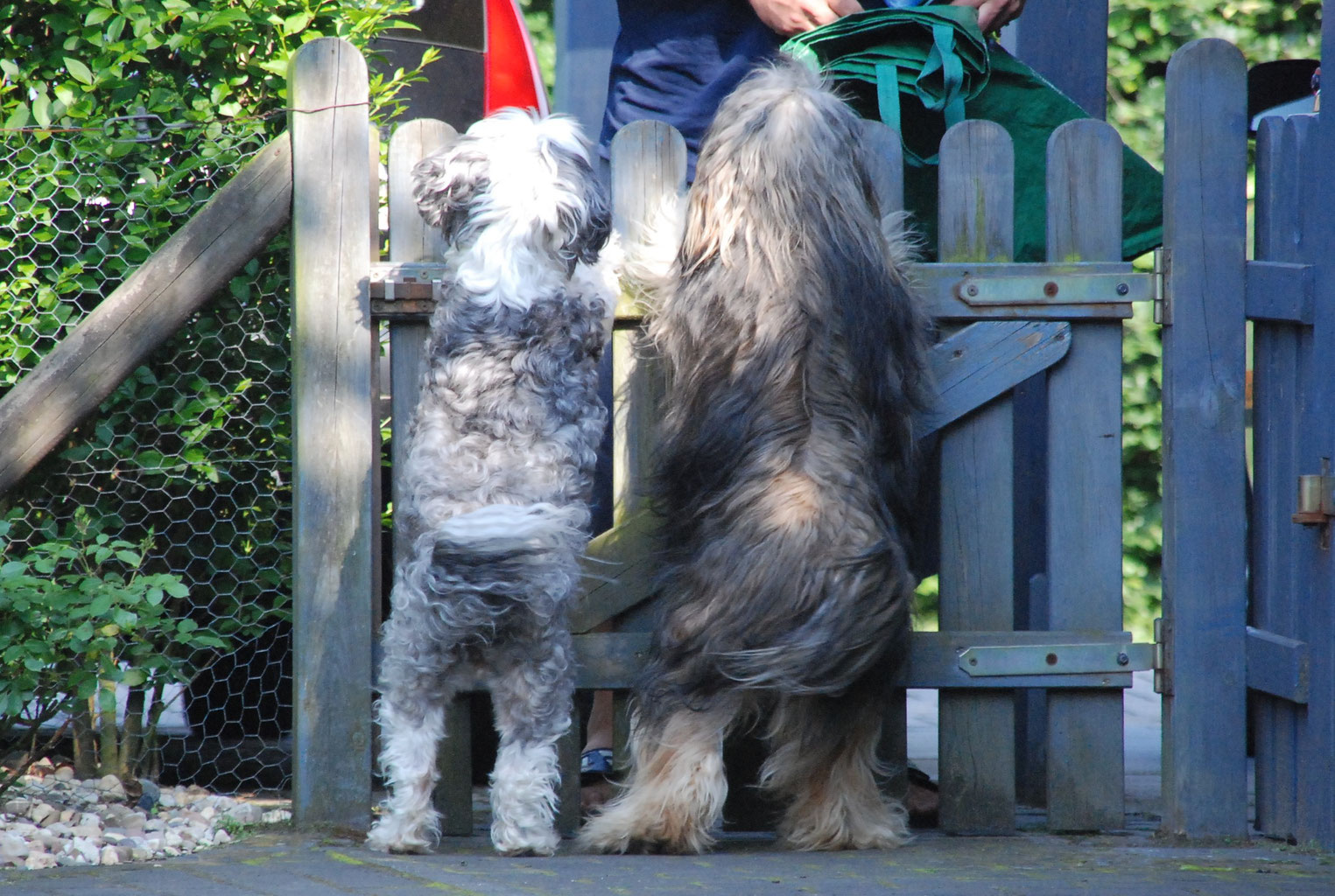 Get Charakter mehrzahl Desktop Wallpaper Free Charakter Mehrzahl