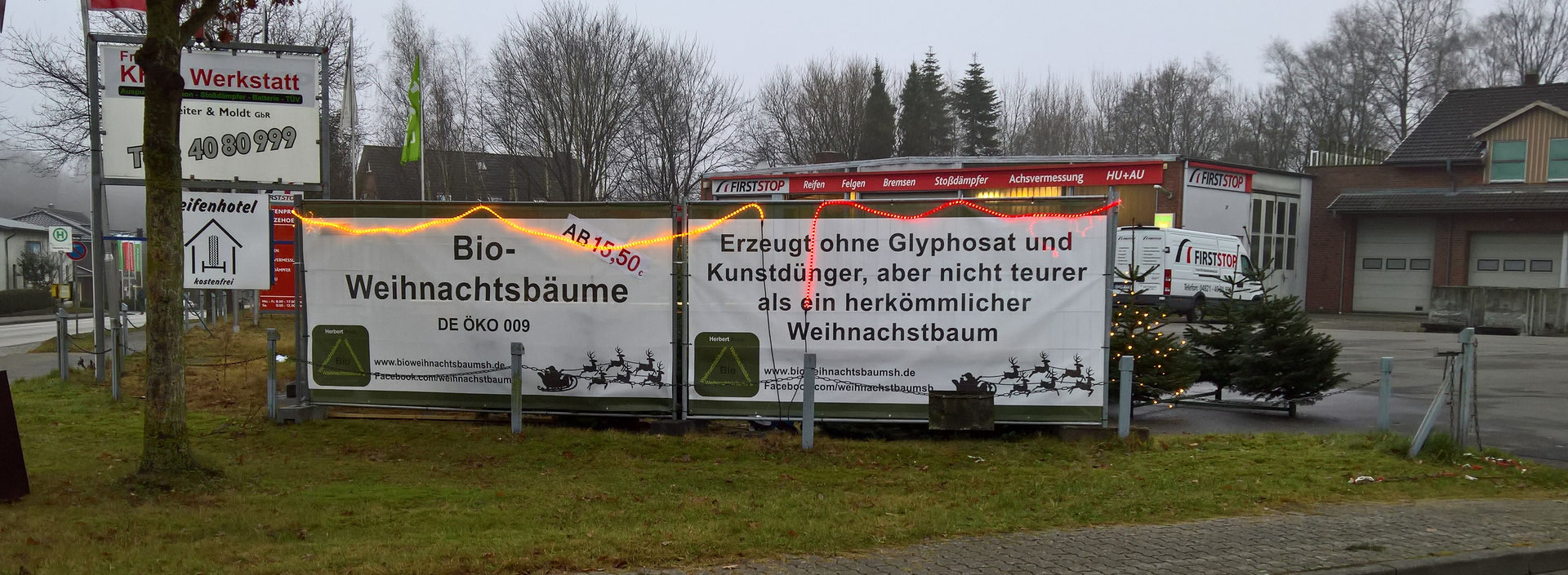 Verkauf in Itzehoe - Bio- Weihnachtsbäume aus Schleswig ...