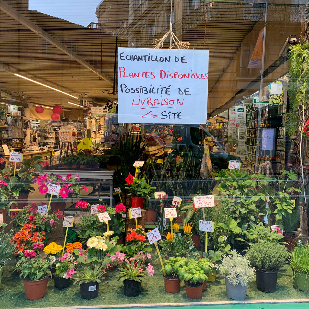 Le Parfait jardinier vous livre des fleurs  Site de auparfaitjardinier