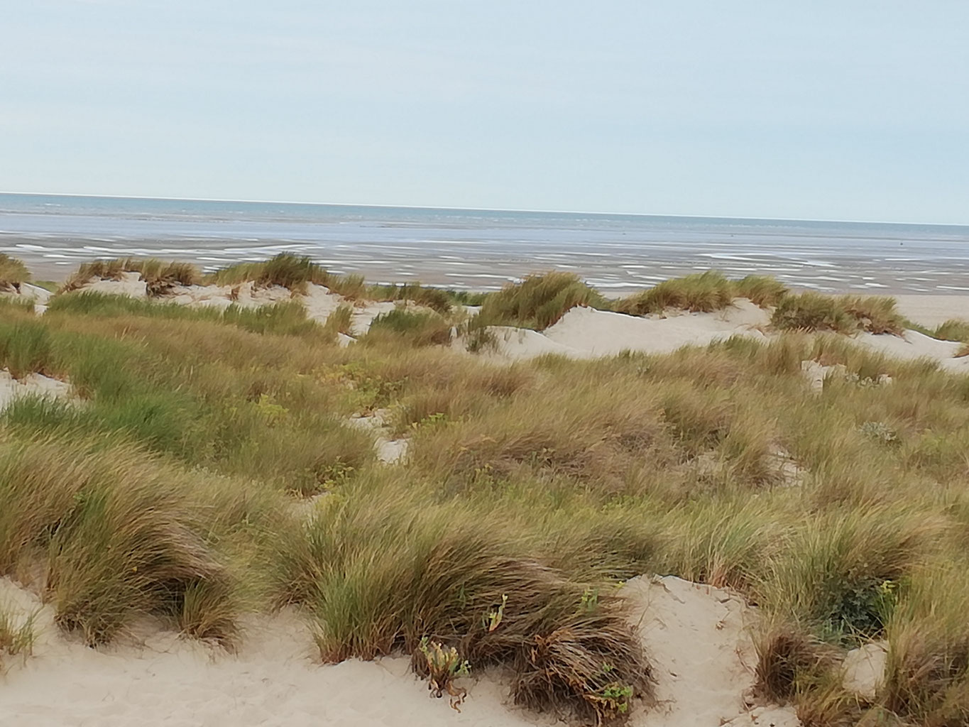 Gîte & chambres d'hôtes Baies de Somme et Authie / Côte Picarde / Hauts