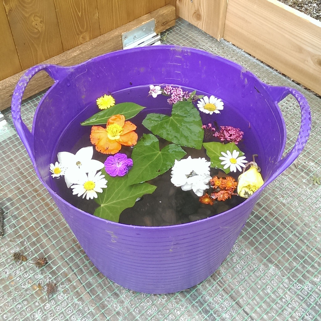 Coole Experimente im Garten Gartenschatz