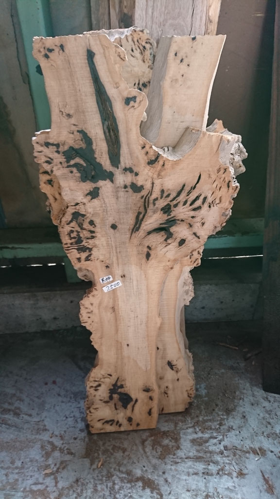 想像以上に小さな山里の柿『マメガキ』採取権