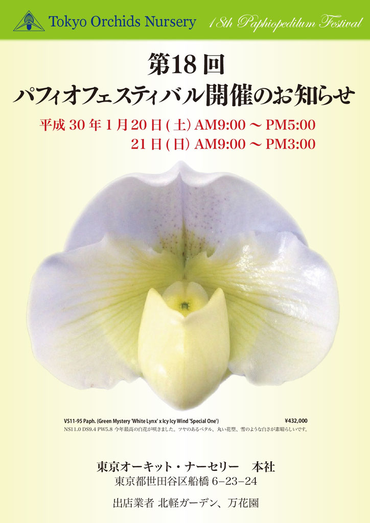 パフィオ 沖縄国際洋蘭博覧会 2008 パフィオ9