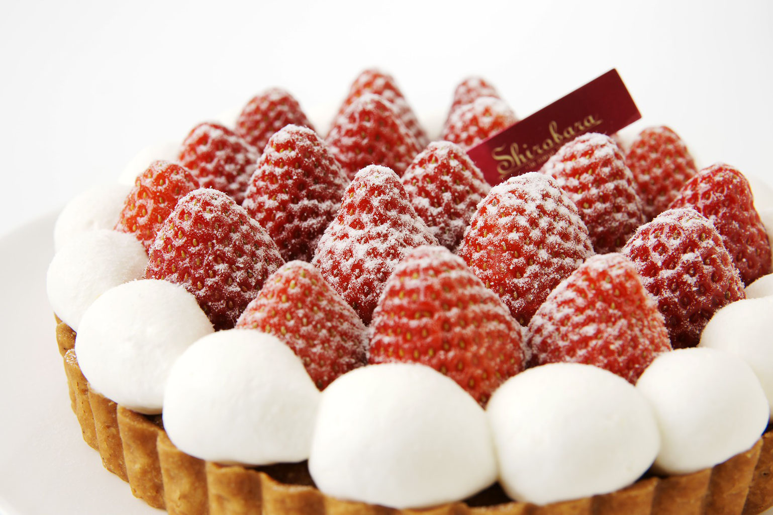 いちごタルトまつり Shirobara 福山市の洋菓子店 いちごタルトまつり Shirobara 福山市の洋菓子店