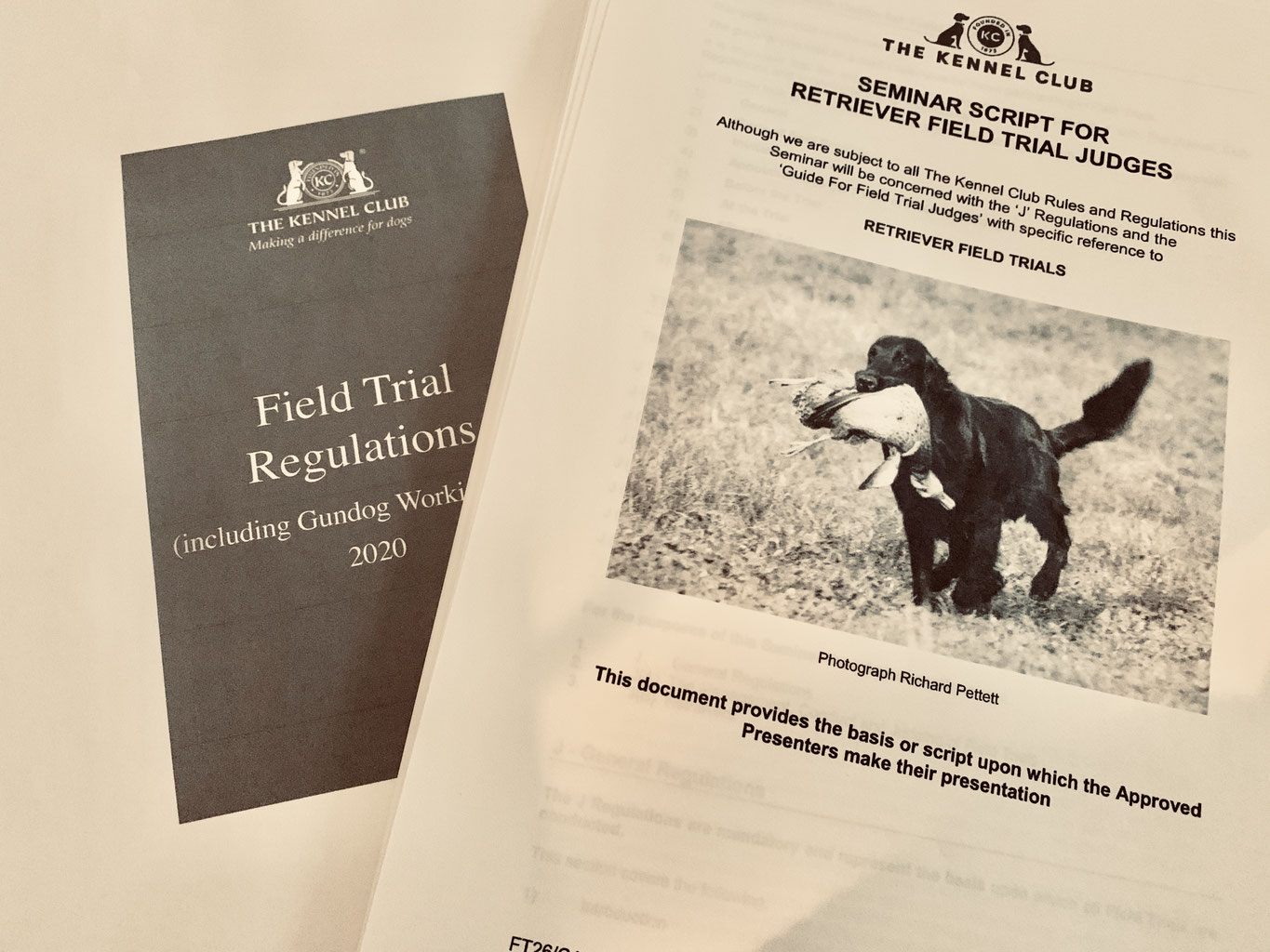 Retriever Field Trial Judges Seminar ケネル アストラム*GoldenRetrievers*