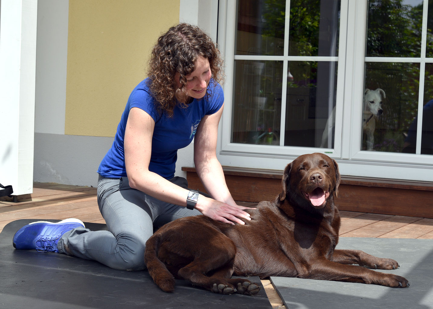 Startseite Svenjas Hundephysio