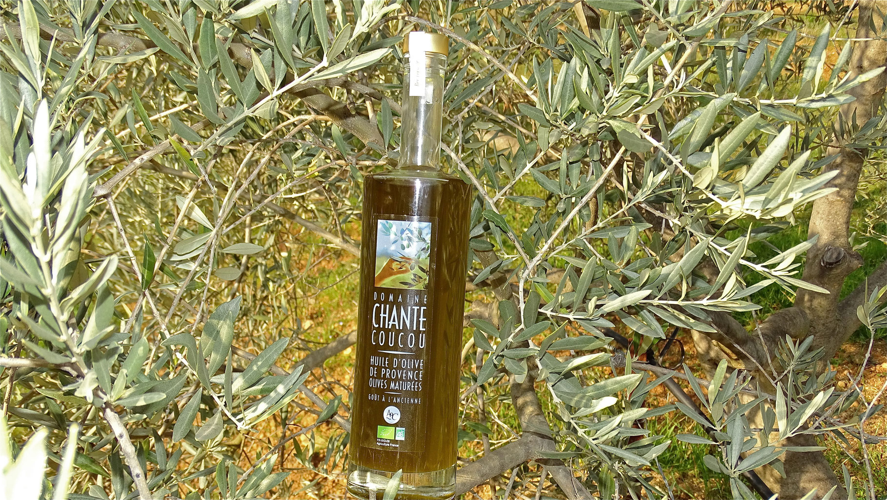 huile olive luberon