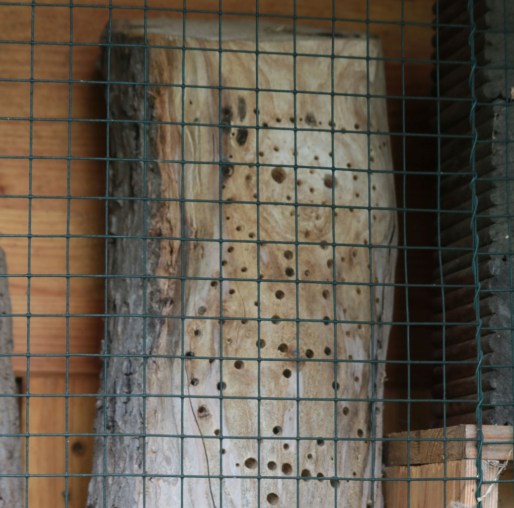 Nabu Insektenhotel Fehler