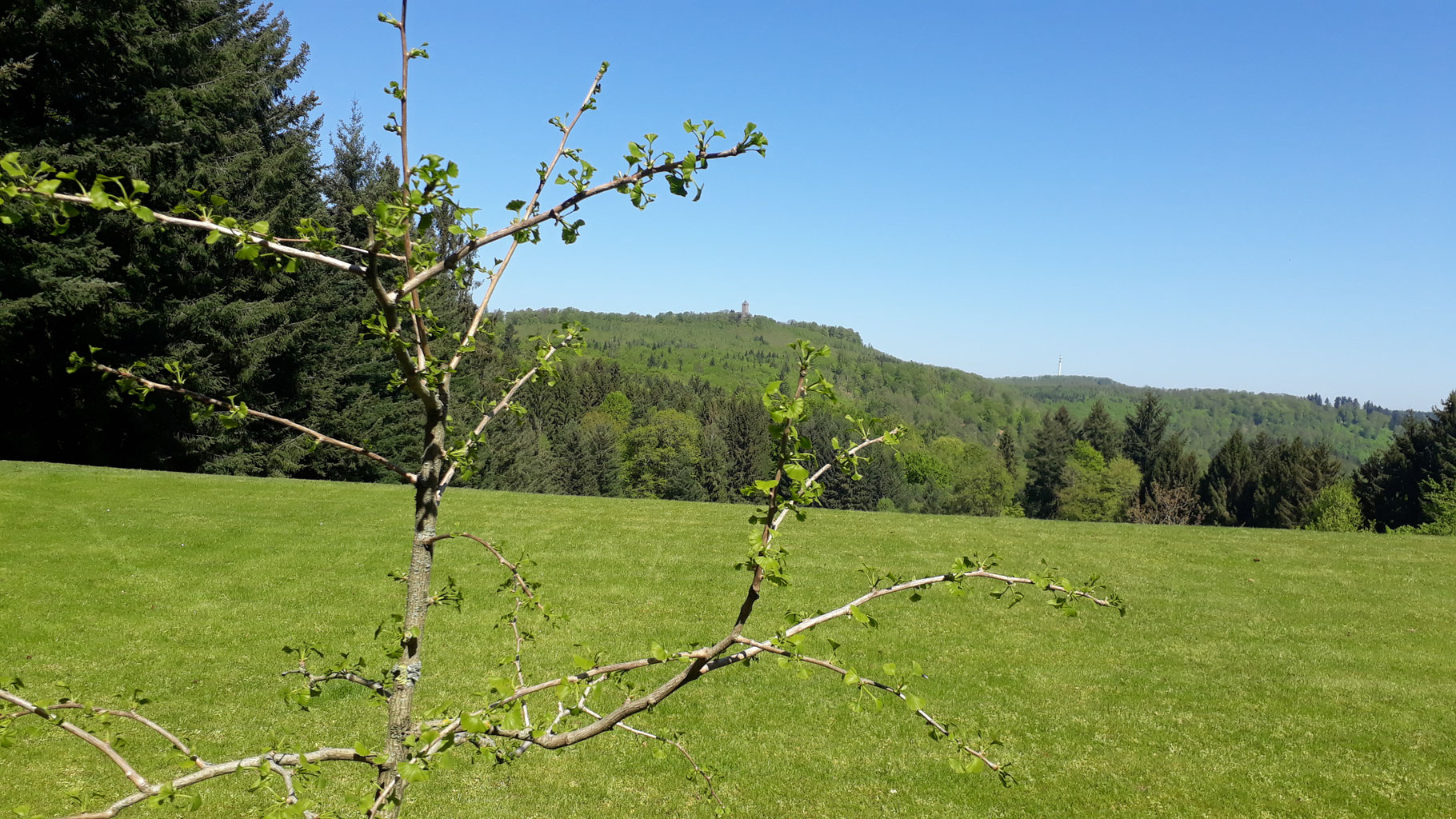 Durch das Gräfensteiner Land zum Hermersbergerhof Radwege im pfälzerwald