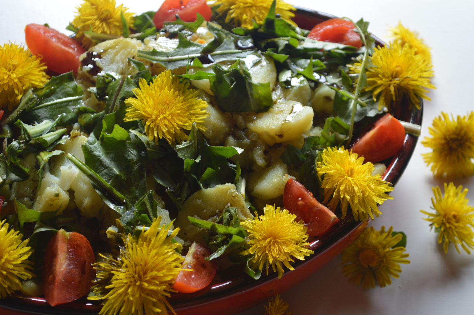 Steirischer Röhrlsalat - Wildkräuter und Shiatsu