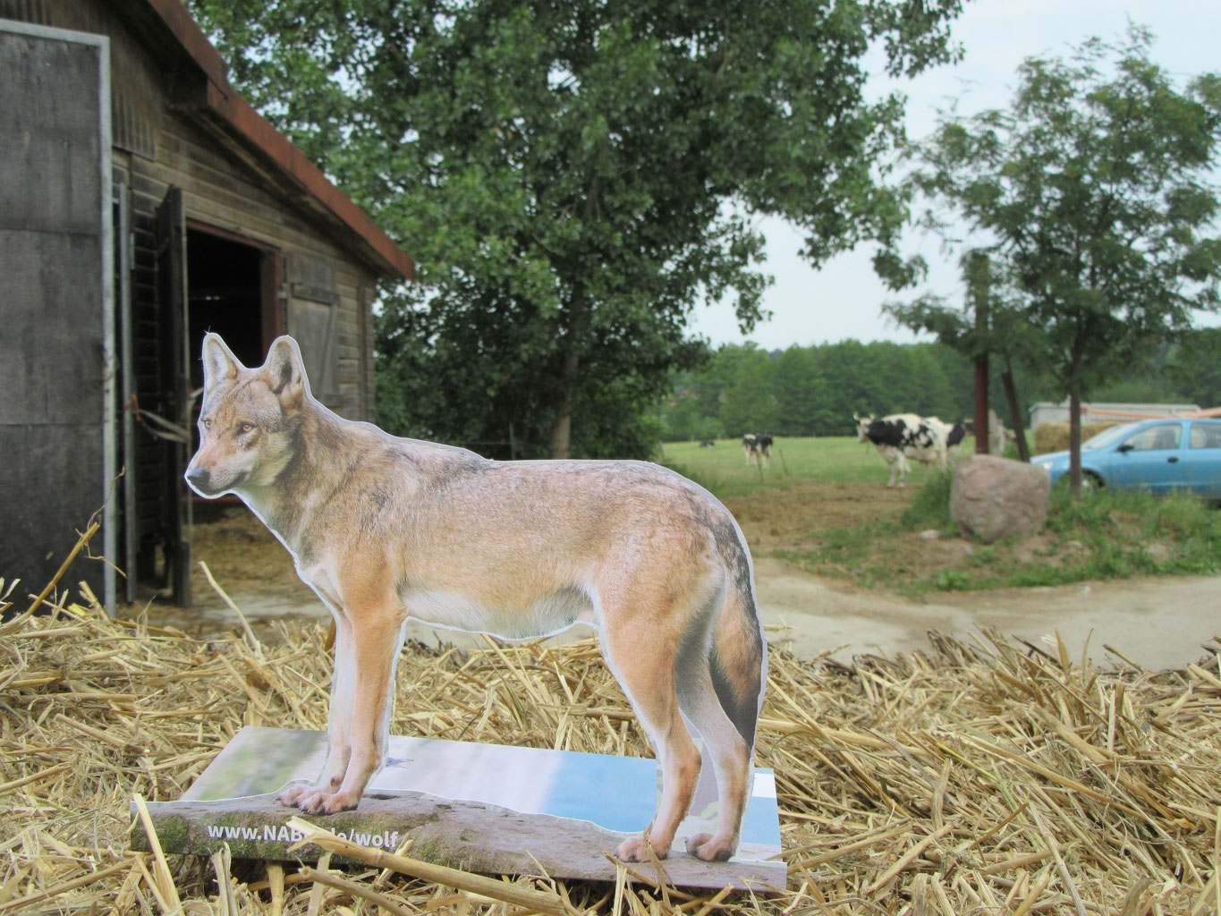 Veranstaltungen 2018 Nabu Fachgruppe Zukunft Wolf