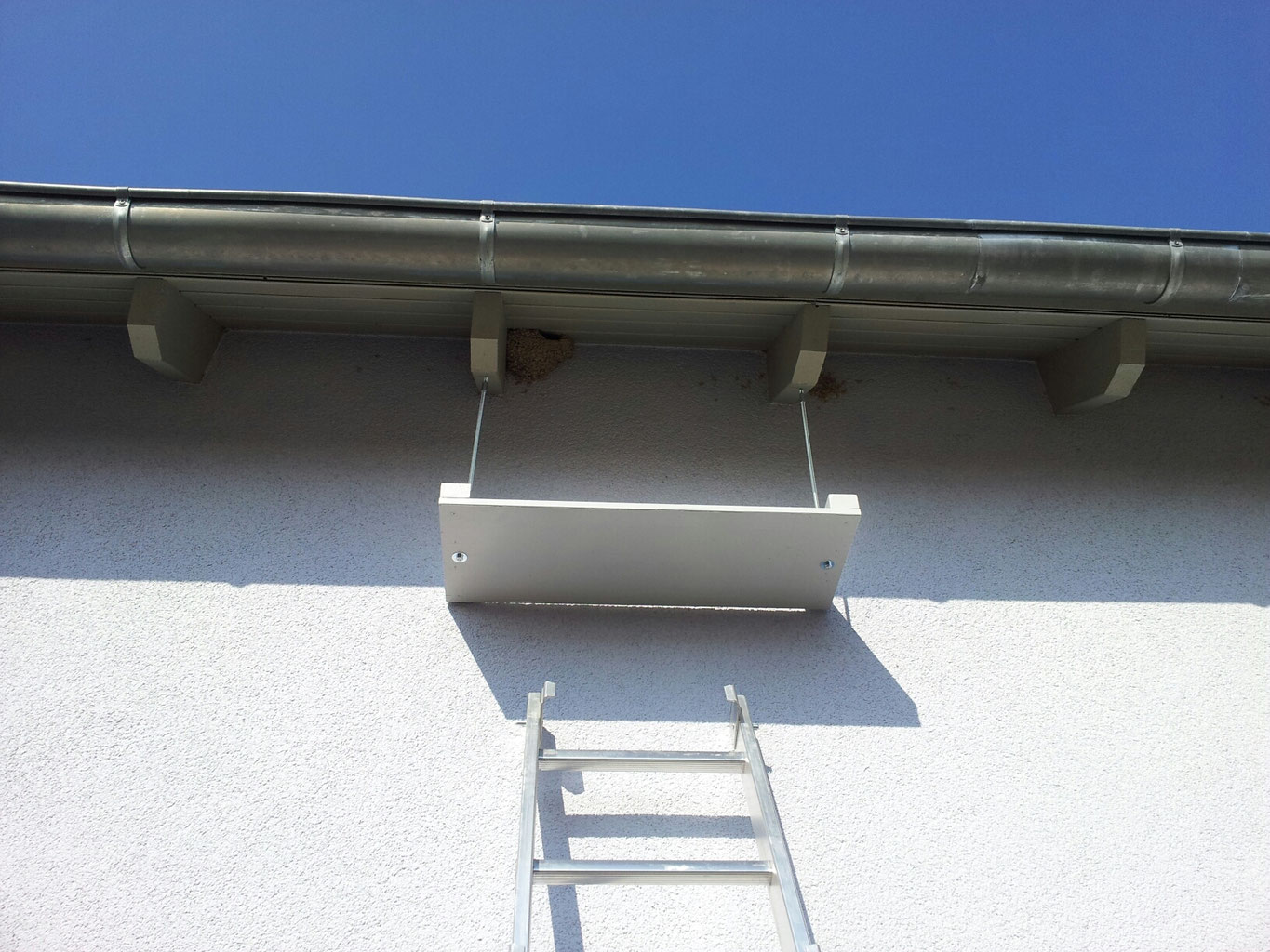 Die Letzten Schwalben Sind Abgereist Die Letzten Auszeichnungen