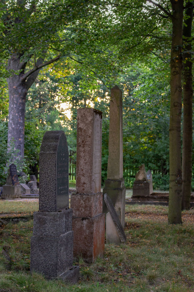 About mazewas Webseite!