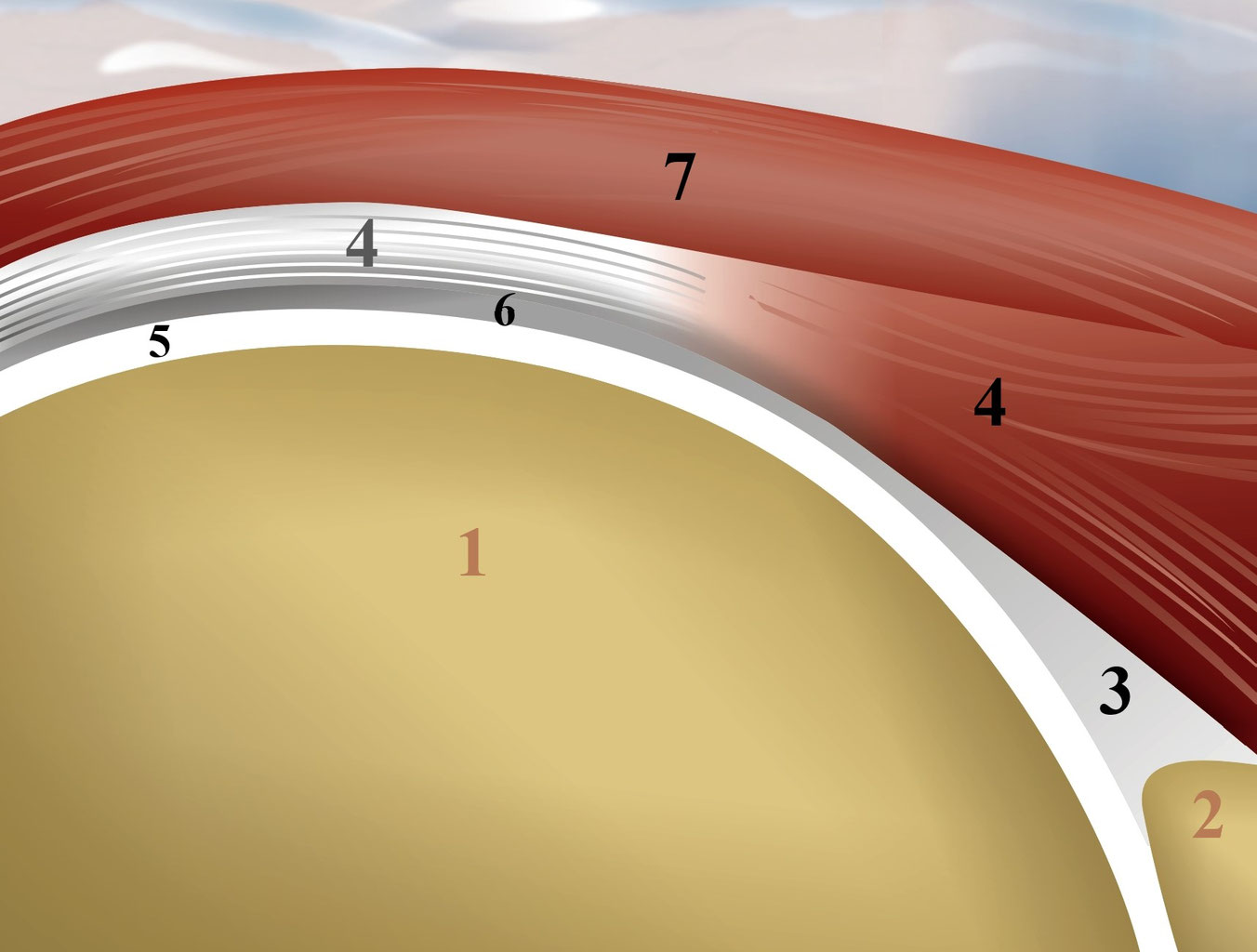 4.5. S/ISP seefeeltreats Webseite!