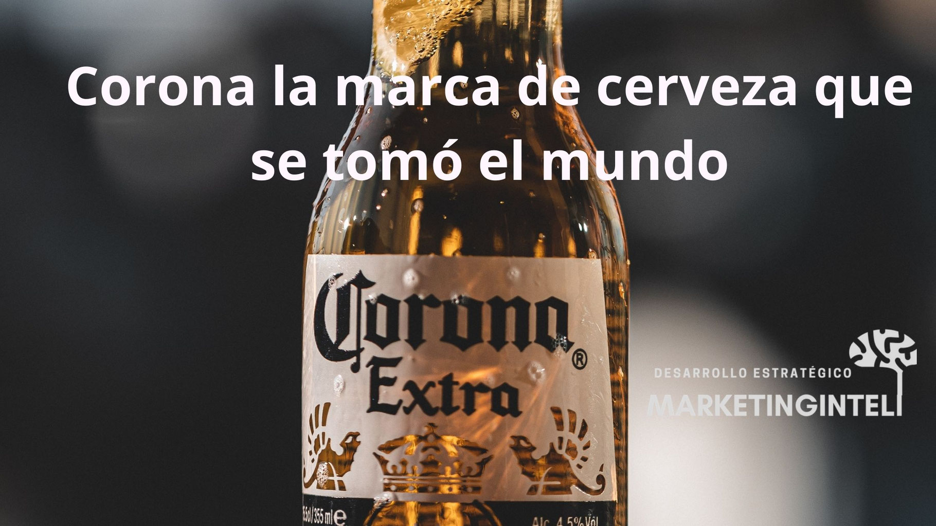 casos marketing casos empresariales