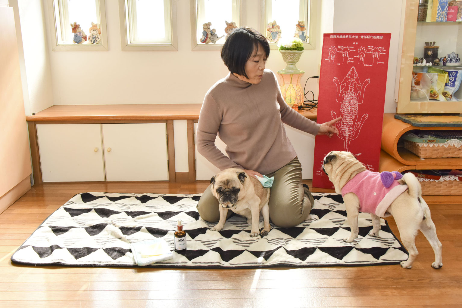 【絶版・新品】アロマティックドッグケア 絶版・アロマティックドッグケア 絶版・新品】アロマティック