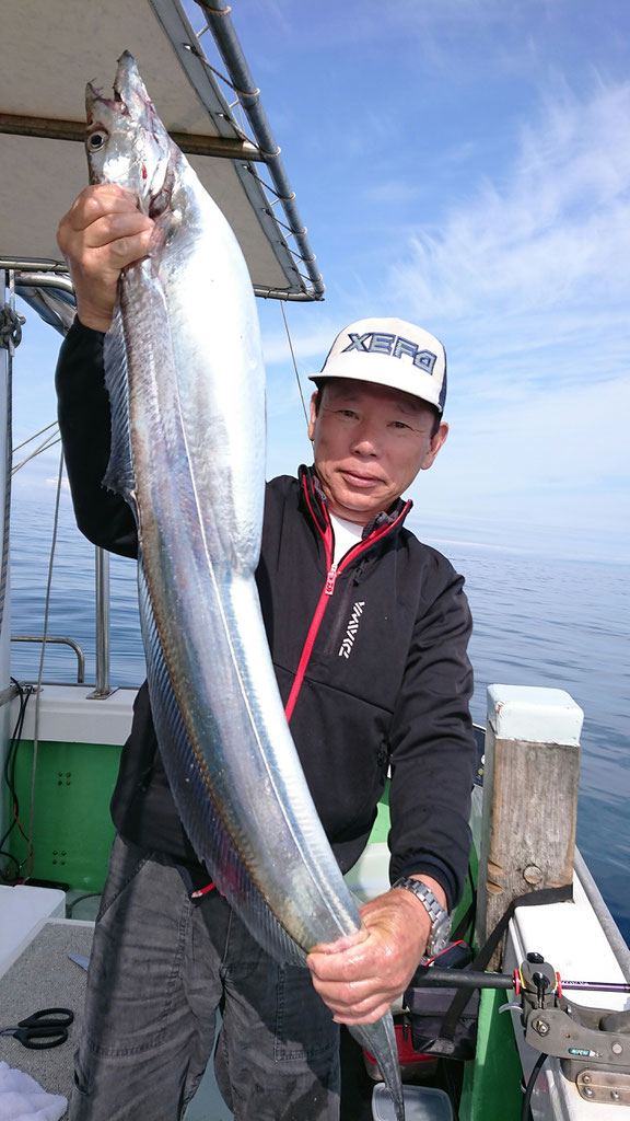 豪華 照陽ホーム - 大分タチウオ 照陽HP ウェア