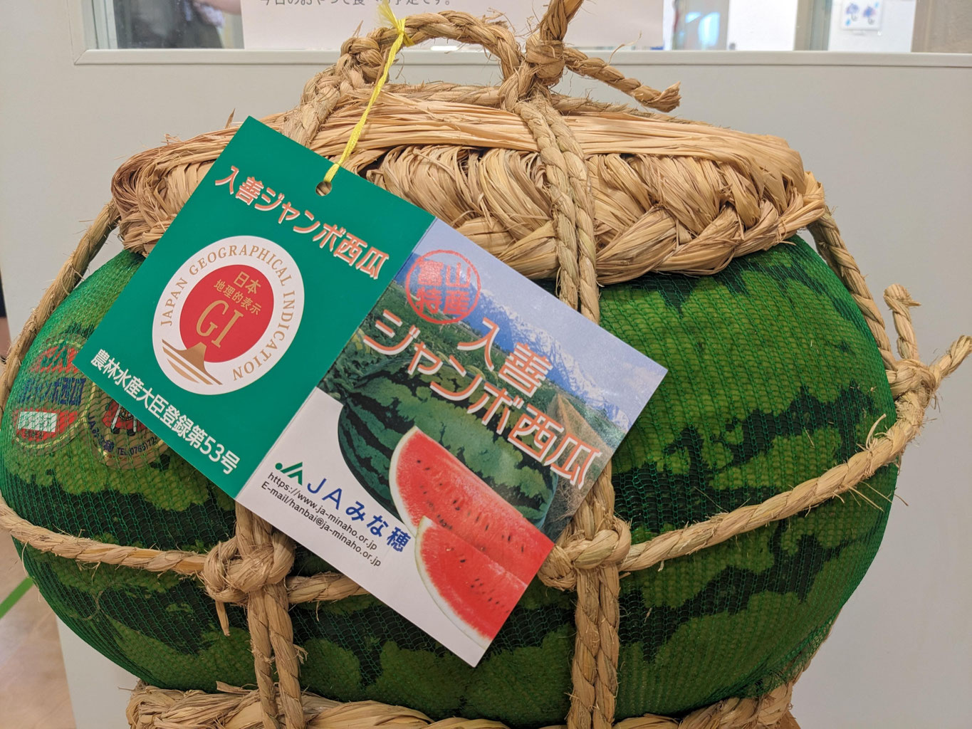 盆踊りとジャンボ西瓜 - takanawasatuki-nakahama ページ！