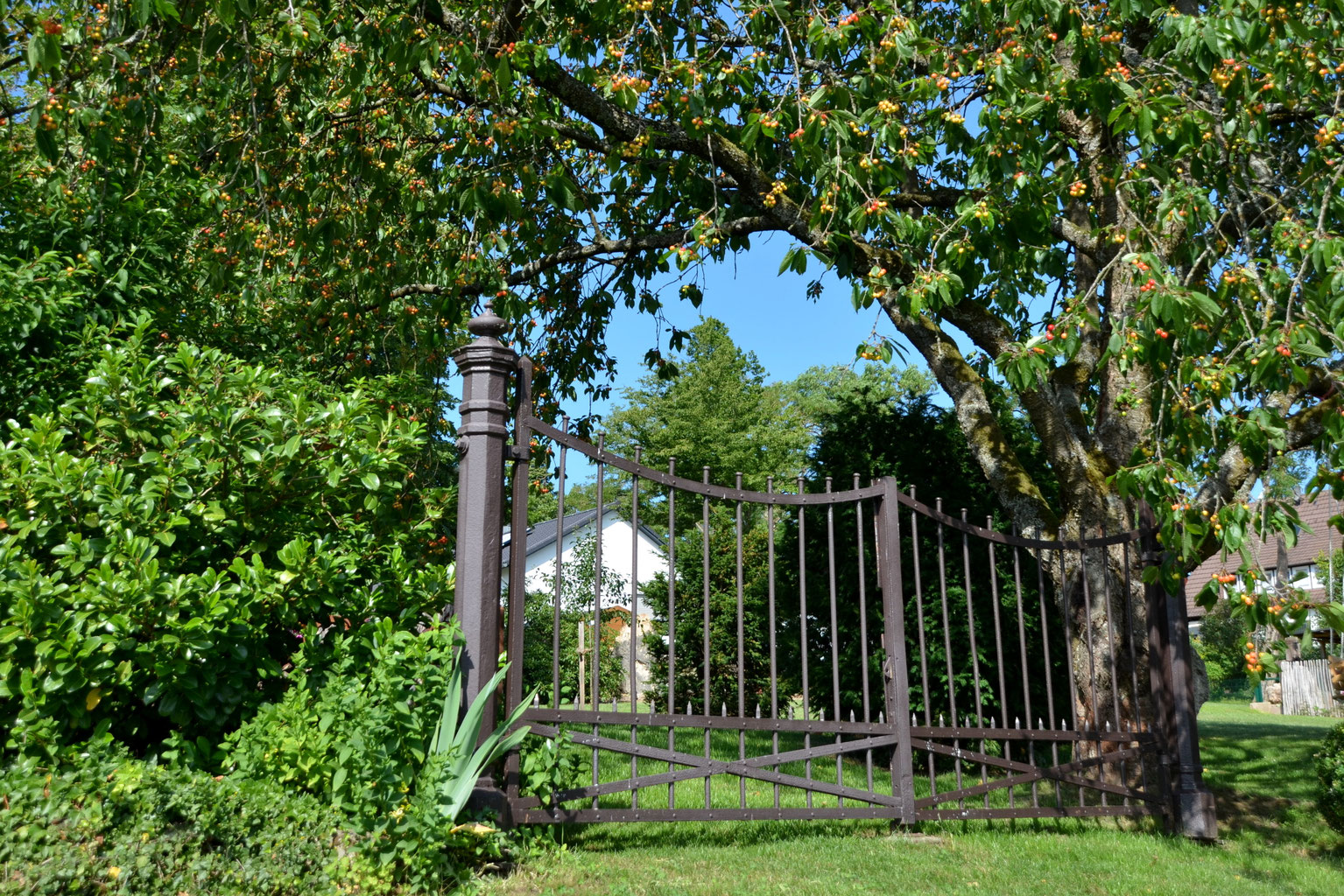 Ferienhaus Tassius