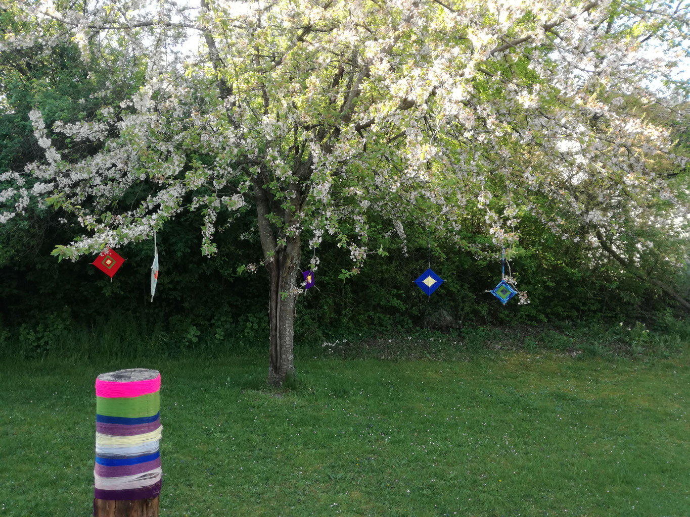 Richtlinie über die Gewährung eines Bonus für Pflege- und