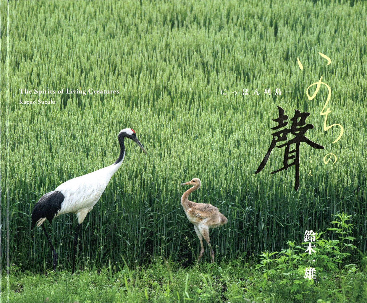 SSP会員 新刊情報（2020年〜2025年） - SSP-日本自然科学写真協会