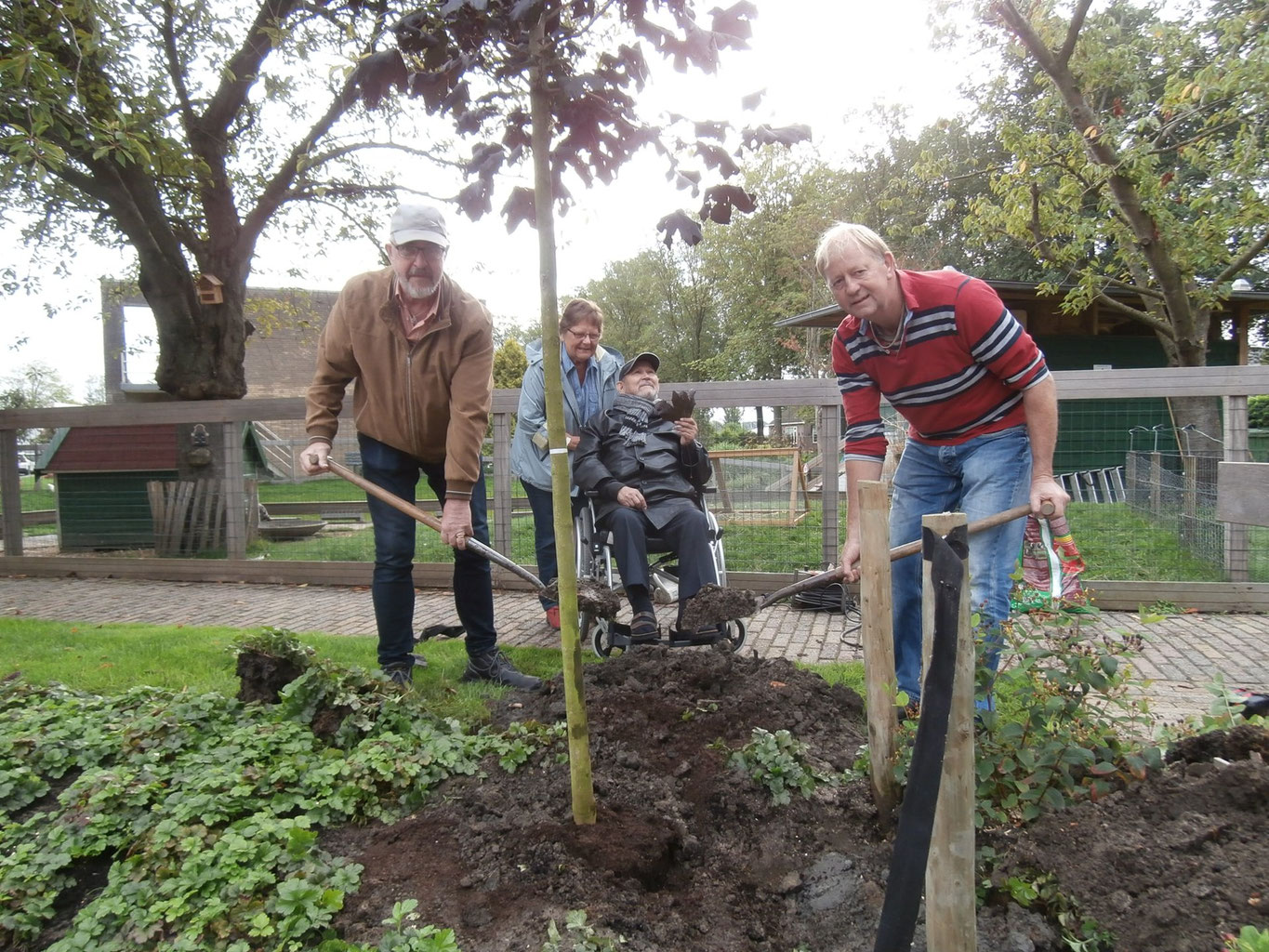 Herdenkingsboom in de tuin 'De Verbinding’ De Verbinding Venhuizen Herdenkingsboom in de tuin 'De Verbinding’ De Verbinding Venhuizen
