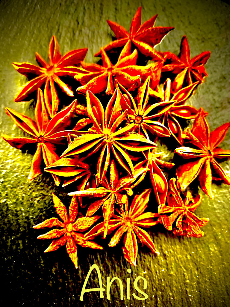 Anis hat viele Anwendungsgebiete abcreisetipps