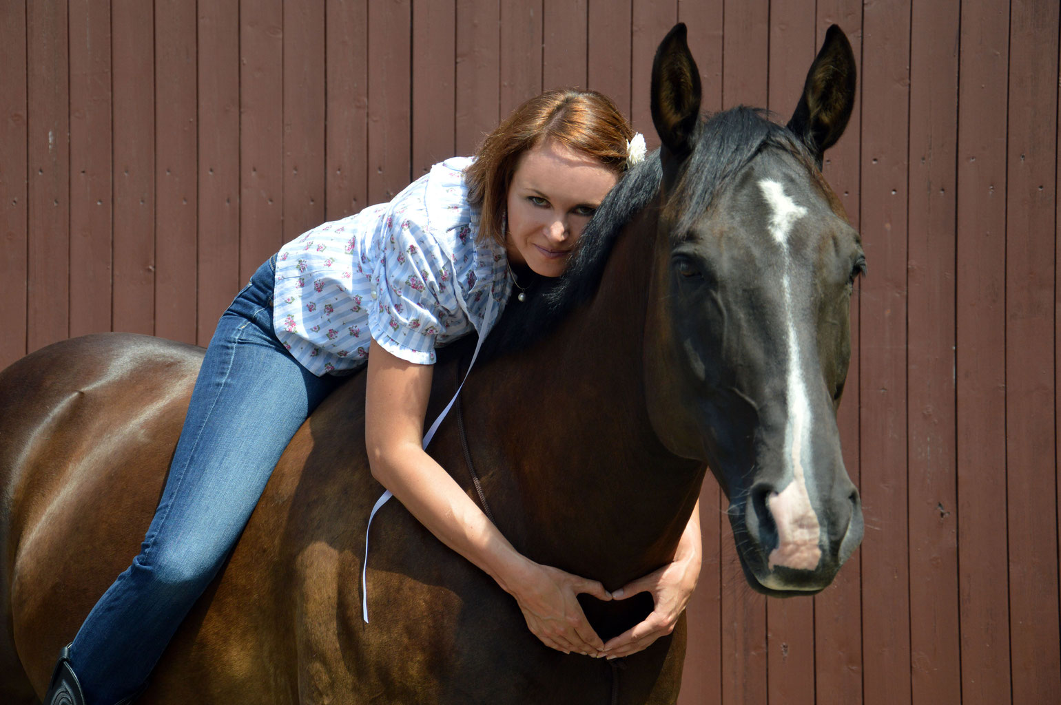 Blindly Follow Horses Blindly Follow Horses