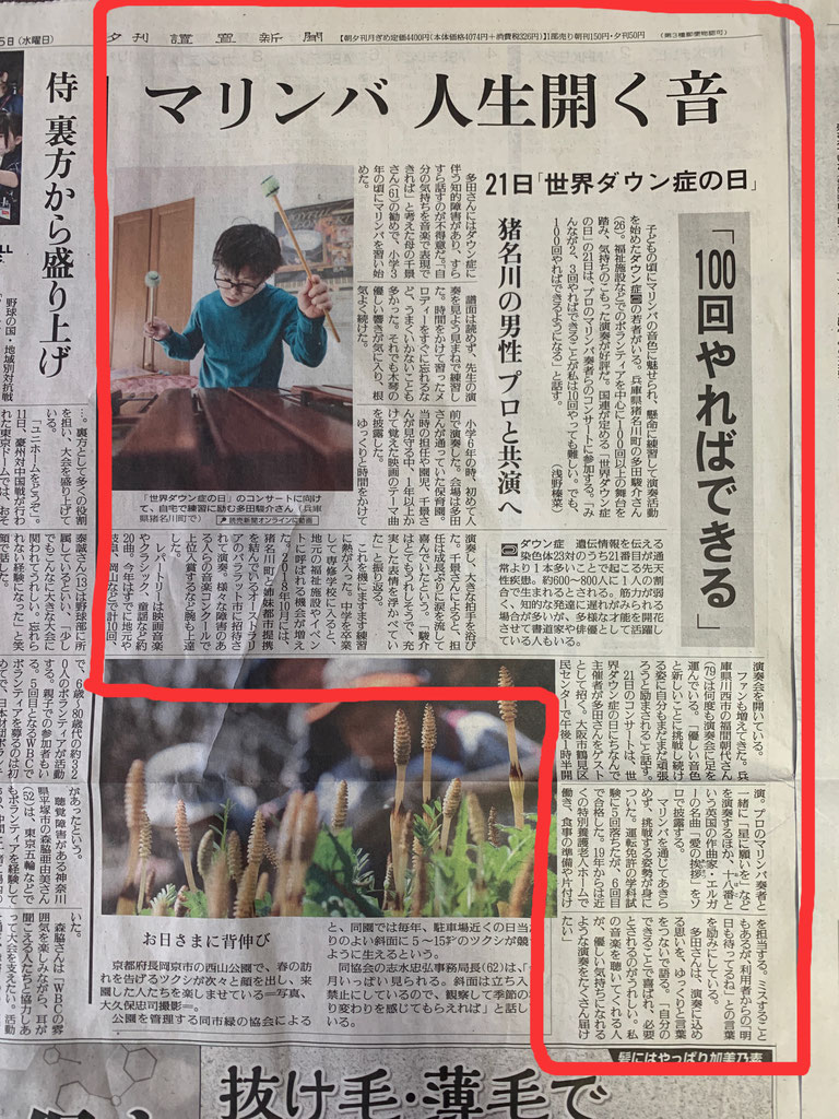 (23ｰ100)||pimpandhost imagesize:768x1024 33 happymallet多田駿介 - ダウン症のマリンバ奏者多田駿介のHP