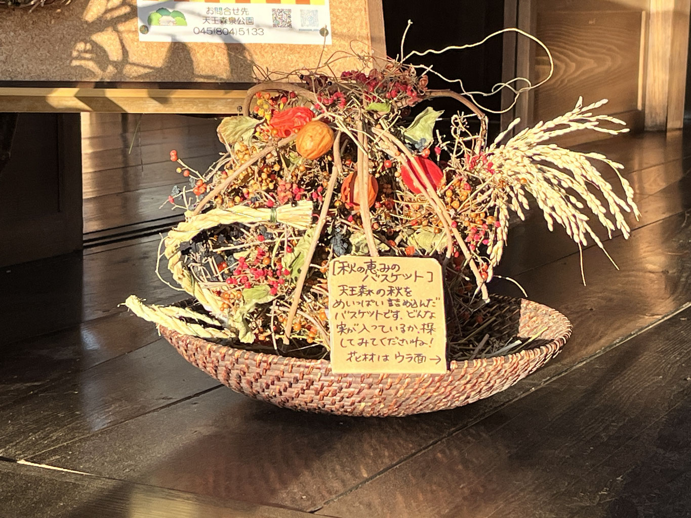 秋の恵みのバスケット - 横浜市天王森泉公園 ‐公式ホームページ‐