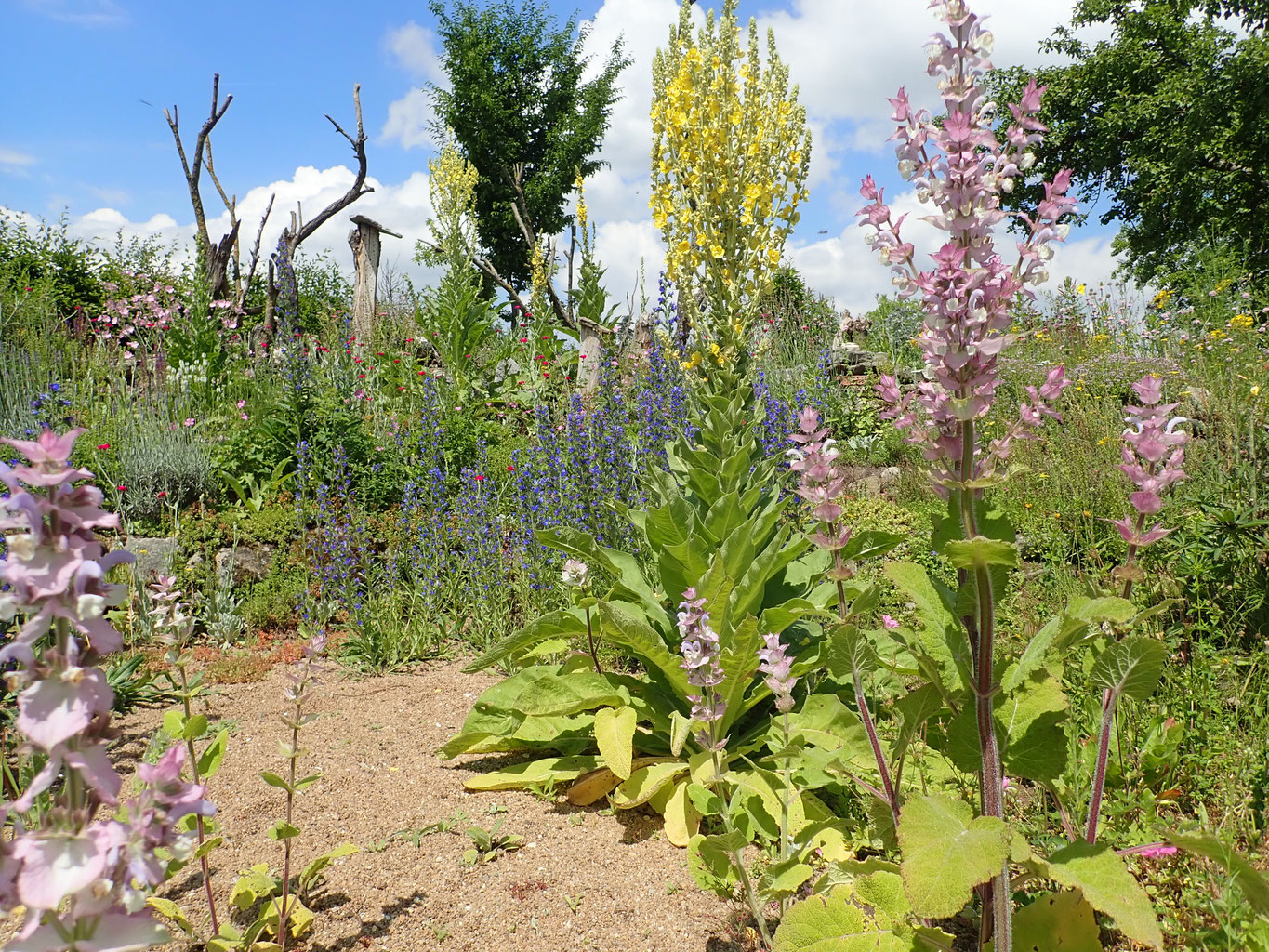 Artikel Zum Thema Naturgarten Natur Garten Helbigs Webseite