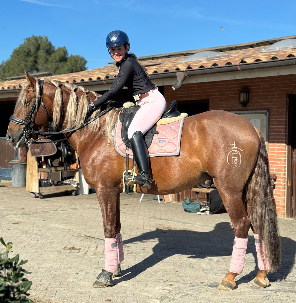 Spanish Horses for sale in Spain Página web de fantasticpre