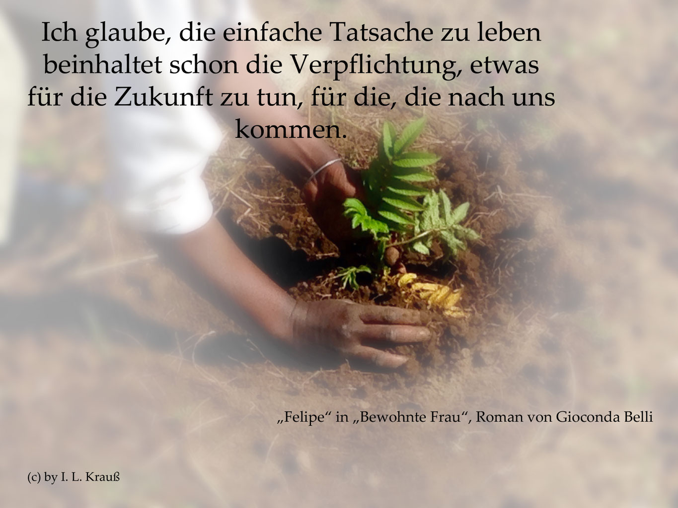 Download Zitate lebensweg zukunft For Android Free Zitate Lebensweg Zukunft