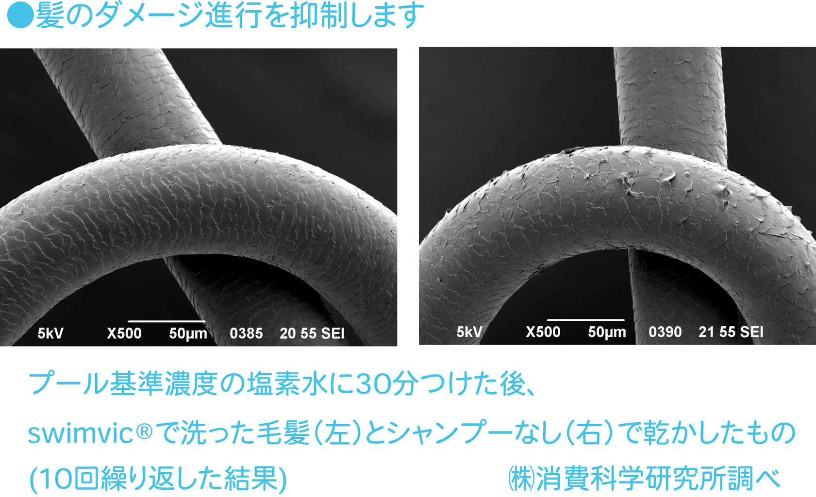 プール専用シャンプーswimvic スイムヴィック プール用塩素除去シャンプーなど美容商材 美容室の株式会社phd