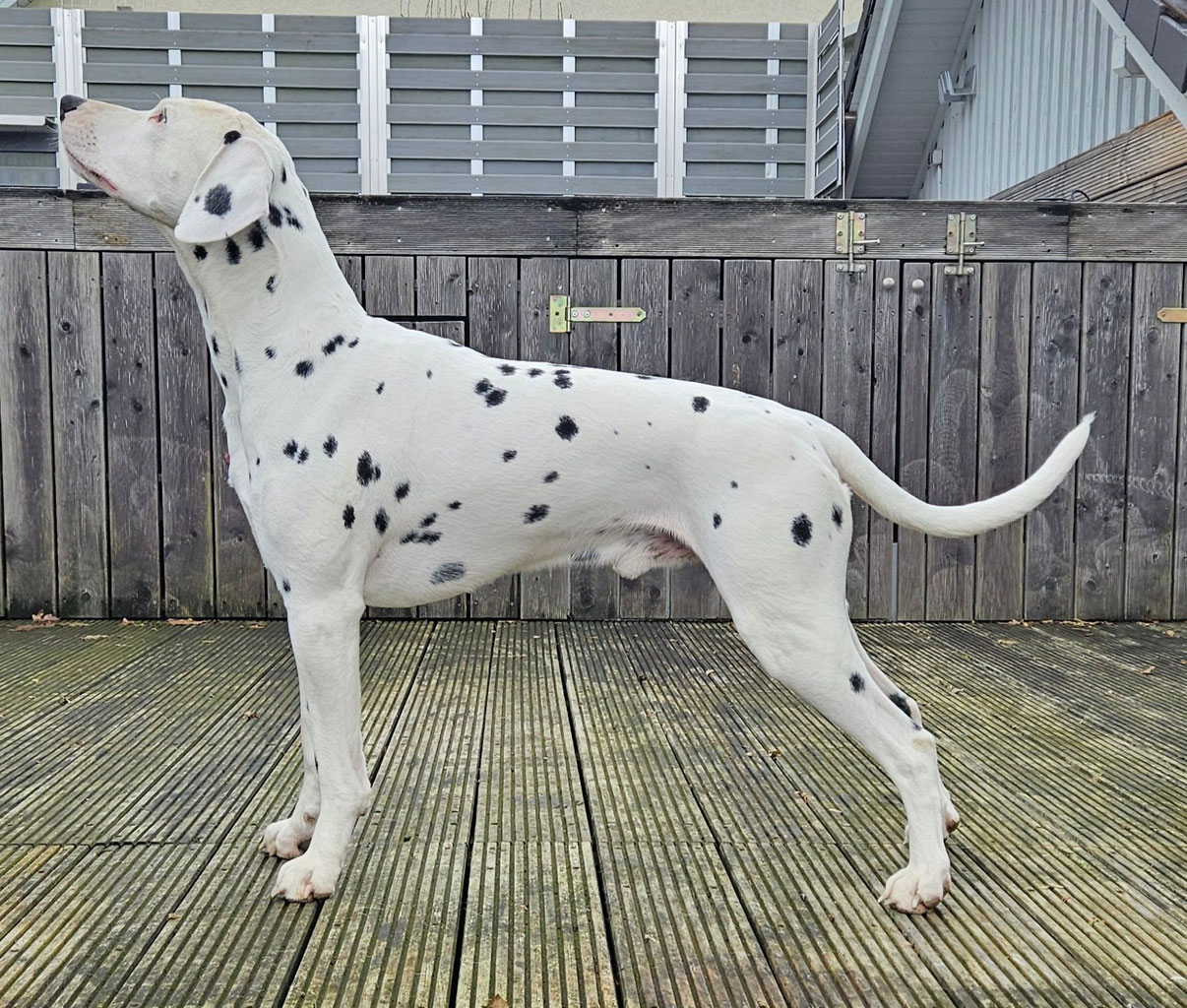 Bacardi Feeling Baltic Forrest 1514921102s seite!