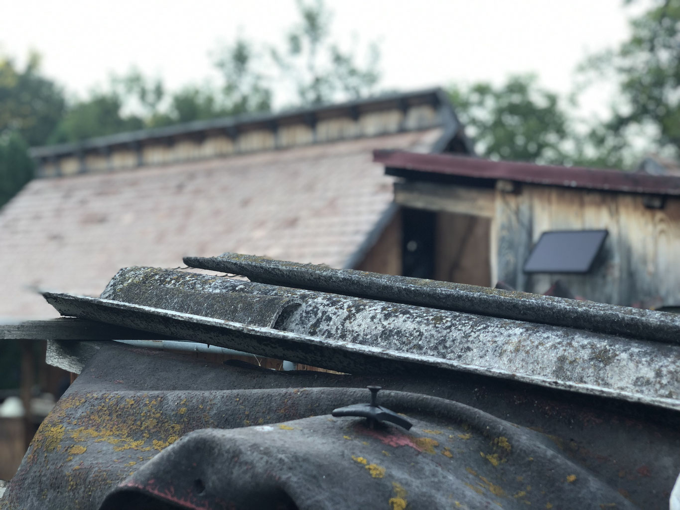 Asbest Faq Antworten Zur Sachkunde Gem Trgs 519 Anlage 4c Kleiner Asbestschein Www Asbest Akademie De