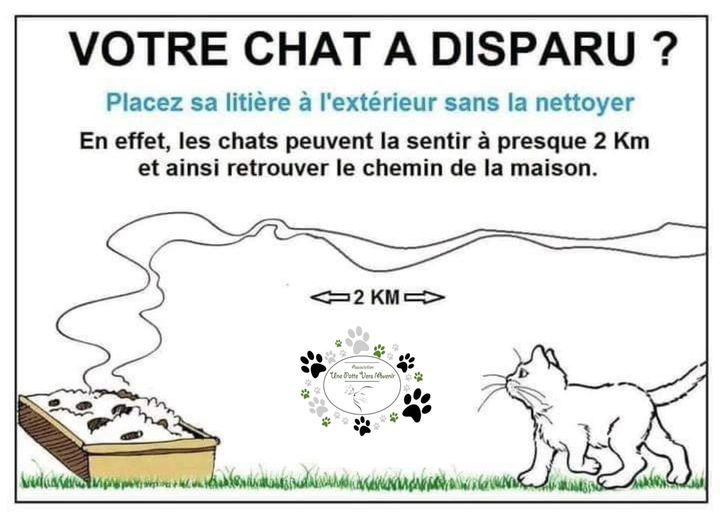 Mille Astuces Pour Une Vie De Chat Le Chat Forgeron Mille Astuces Pour Une Vie De Chat Le Chat Forgeron