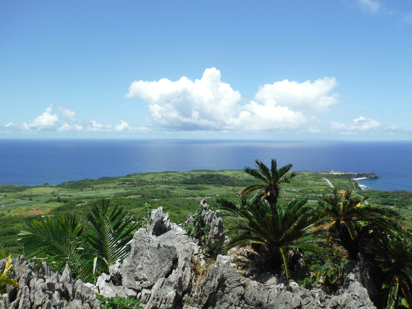 魔法のパワースポット Makita 5477NB 7-1/4