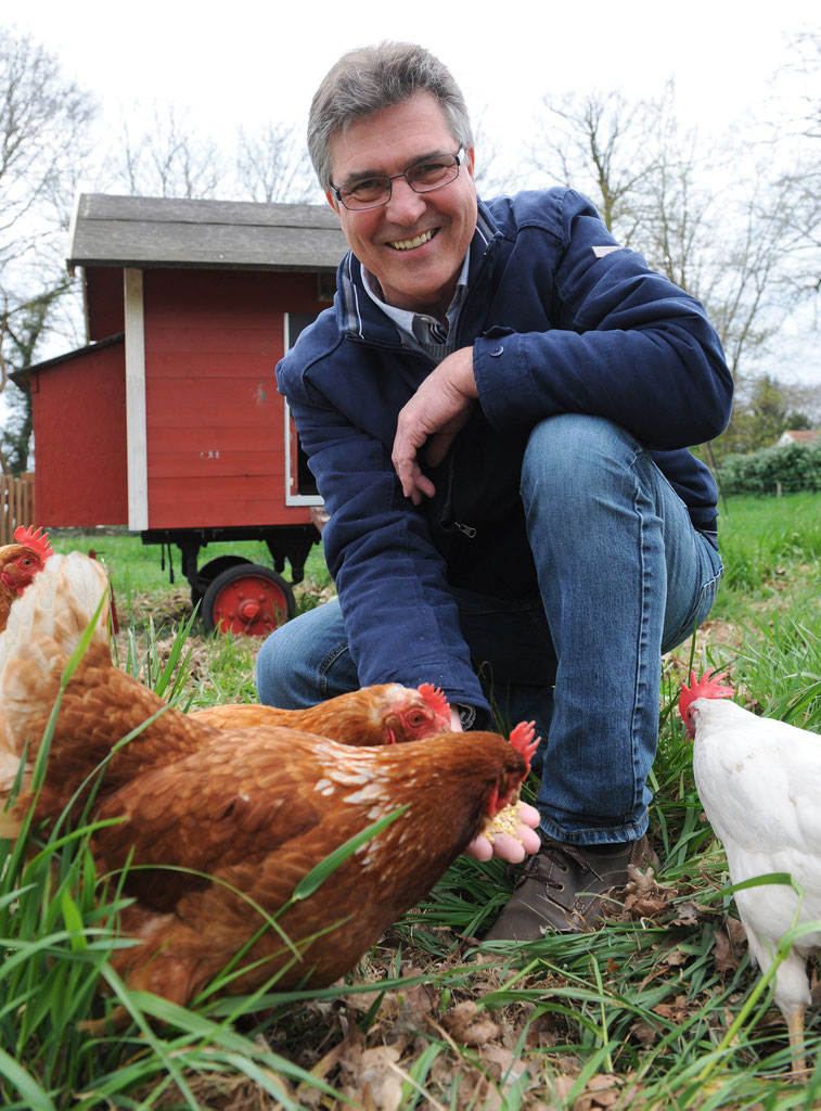 Huhner Mieten Huhnervermietung Miete Ein Huhn