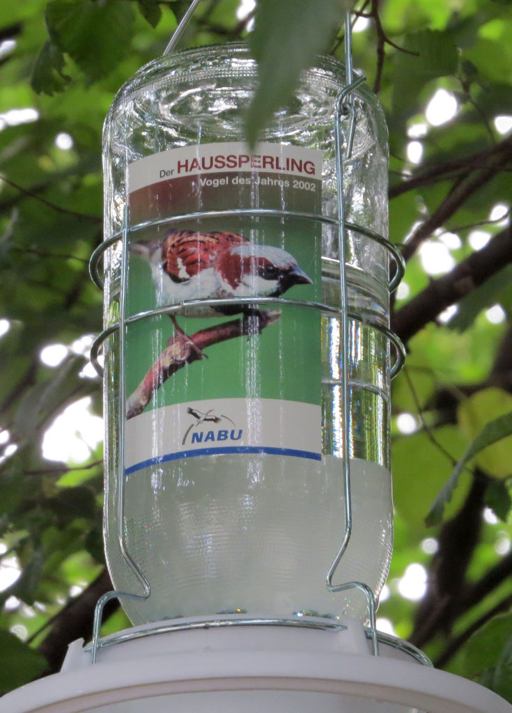 Wie kann ich Vögel Wasser geben?