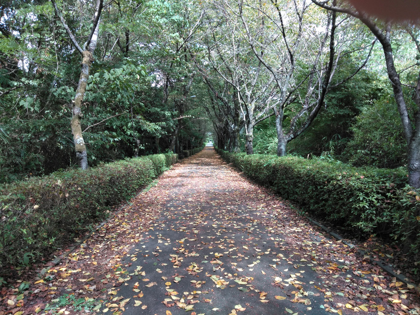 2019年その３ - 有限会社モークリエイション