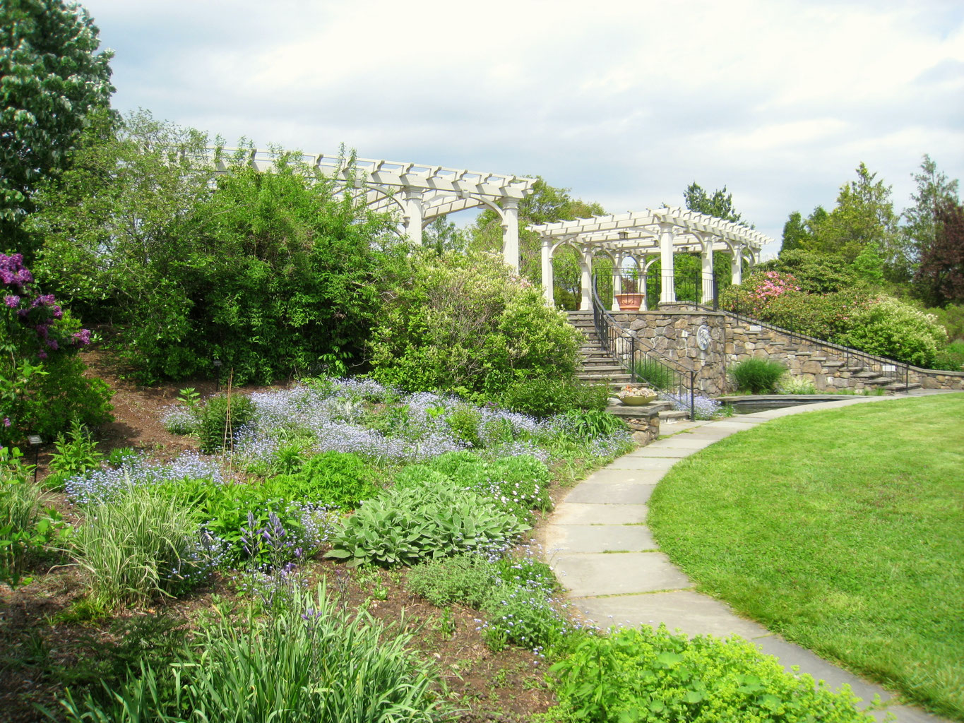 In Just Spring Dvmulligan