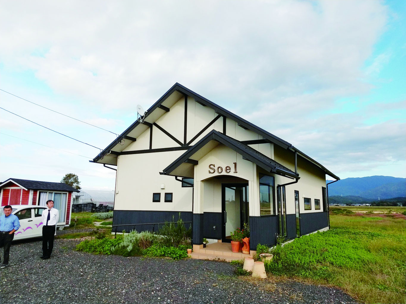 ②コンパクトでもお花を楽しめる新潟県棚橋農園様の極上銀葉アカシア