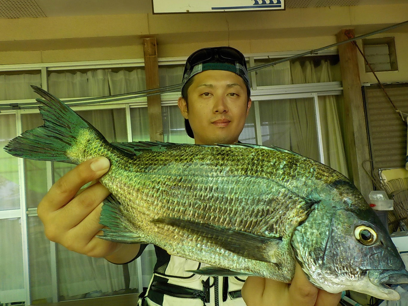 平成29年7月の釣果 - 旅館 海の都のホームページ