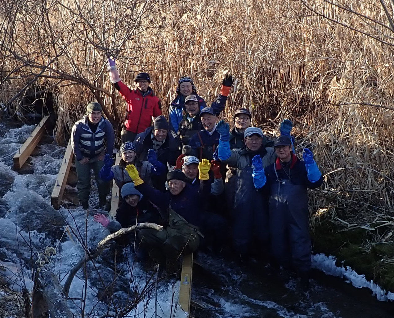 釧路川イトウ復活事業 Wild Taimen Revival In Kushiro River Kushironature ページ