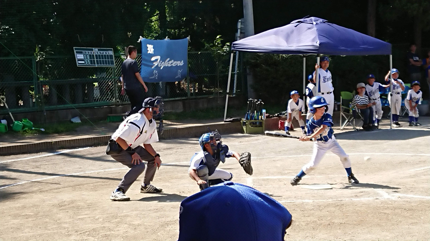 朝霞田島イーグルスへようこそ 朝霞田島イーグスルス 朝霞田島イーグルスへようこそ 朝霞田島イーグスルス
