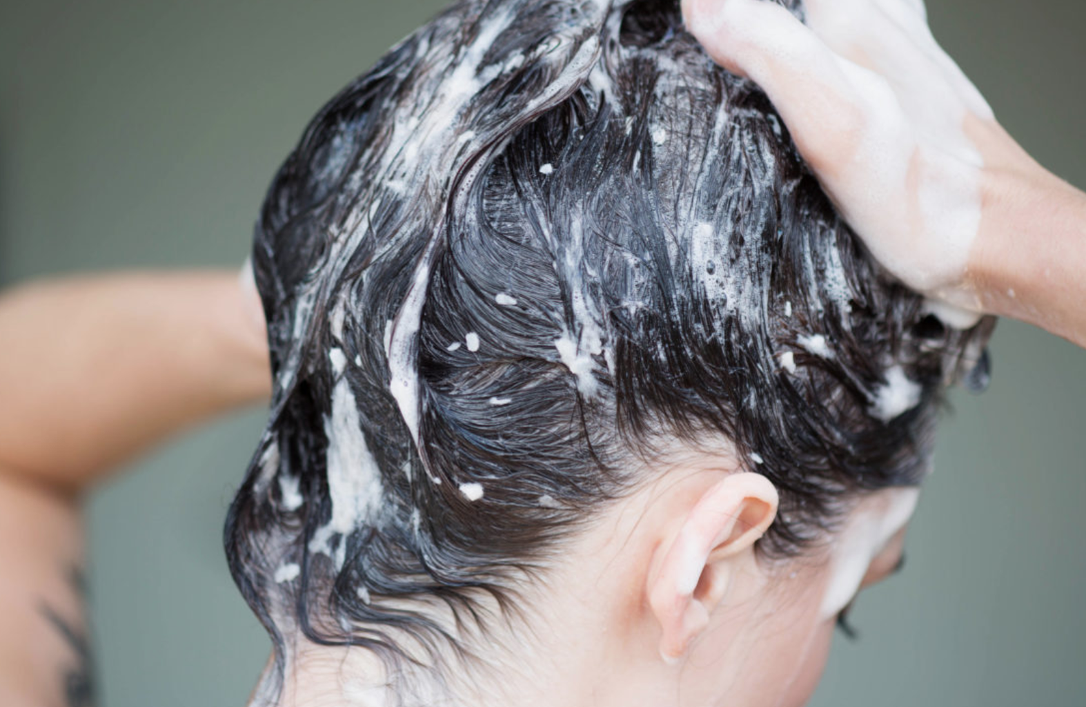 Should I Wash My Hair Before Coloring At A Salon / Can Dye Your Hair Too Much? Here's What You Should Know ... / Should you wash your hair after coloring?